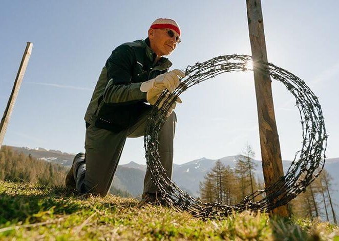 Zäunen der Bad Kleinkirchheimer Bergbahnen, Kuhweide in St. Oswald