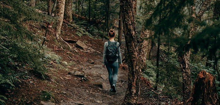 Digital Detox - Frau entdeckt Tier- und Pflanzenwelt im Wald beim Wandern