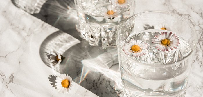 Wasser-Glas mit Gänseblümchen, im Thermal Römerbad, goldene Saunaregel