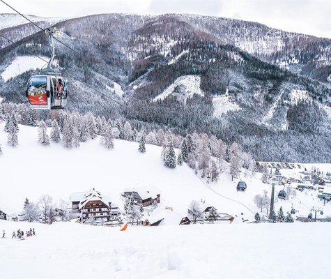 Biobauernhof Hotel Gasthof Hinteregger