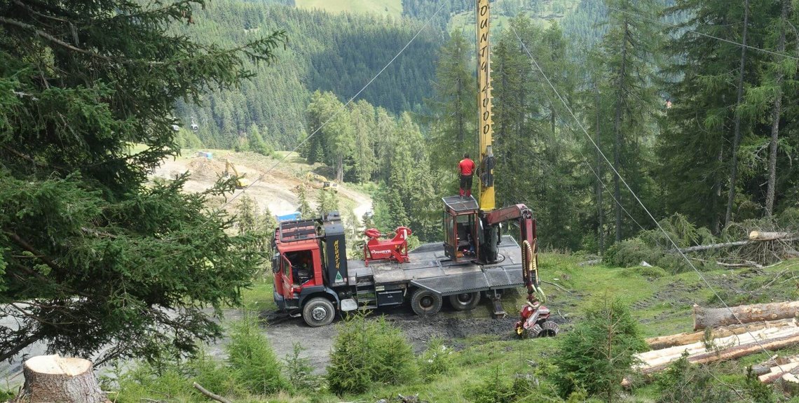 Holzschlägerung, Baubehördengenehmigung