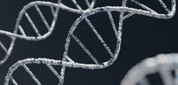 Detaillierte Darstellung einer DNA-Helix.
