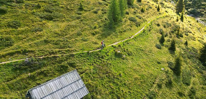 Blick auf einen Mountainbiker, der durch eine grüne Landschaft fährt.