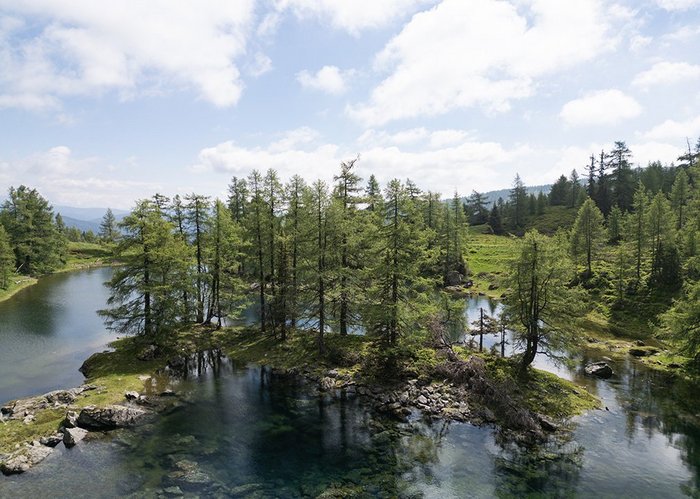 Klares, ruhiges Gewässer mit einer kleinen bewaldeten Insel inmitten einer Wiesenlandschaft.