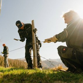 Zäunen der Bad Kleinkirchheimer Bergbahnen, Kuhweide in St. Oswald