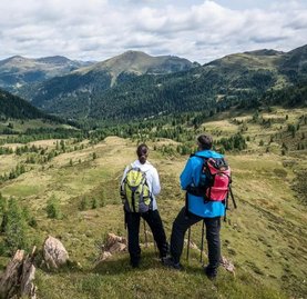 Wandern mit den Bad Kleinkirchheimer Bergbahnen, Biosphärenpark Nockberge, Sommerurlaub