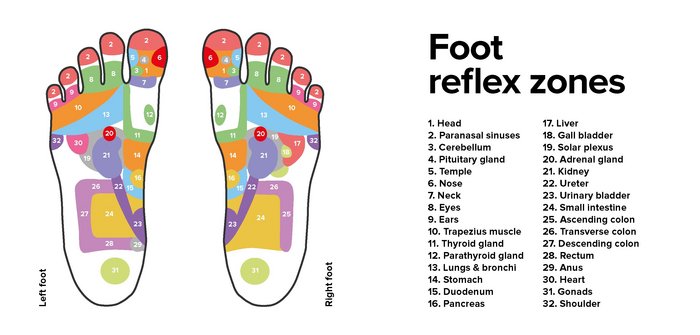 Grafik mit Beschreibung der verschiedensten Fussreflexzonen