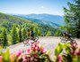 Biker Pärchen am Bad Kleinkirchheimer Flow Country Trail, blühender Almrausch in Kärnten