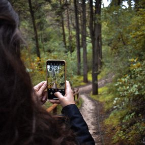 Digital Detox - Smartphone in der Natur zum Fotografieren immer dabei