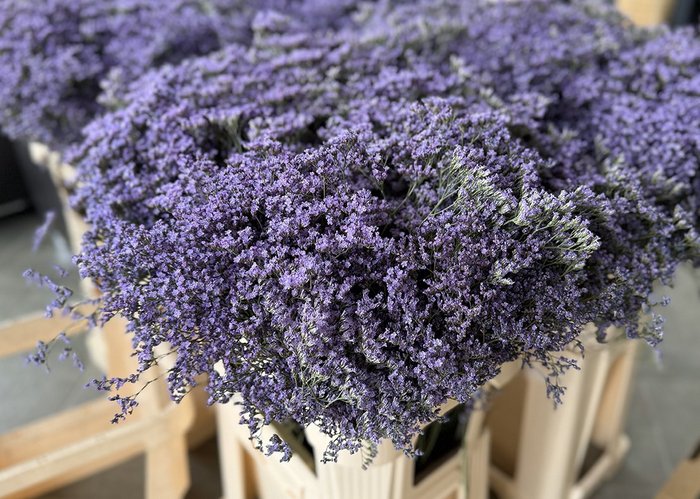 Lila Blumen einer Naturinstallation
