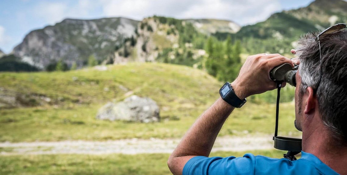 Panoramablick, Wandern in den Nockbergen, Bad Kleinkirchheimer Bergbahnen, Ausflugsziel in Kärnten