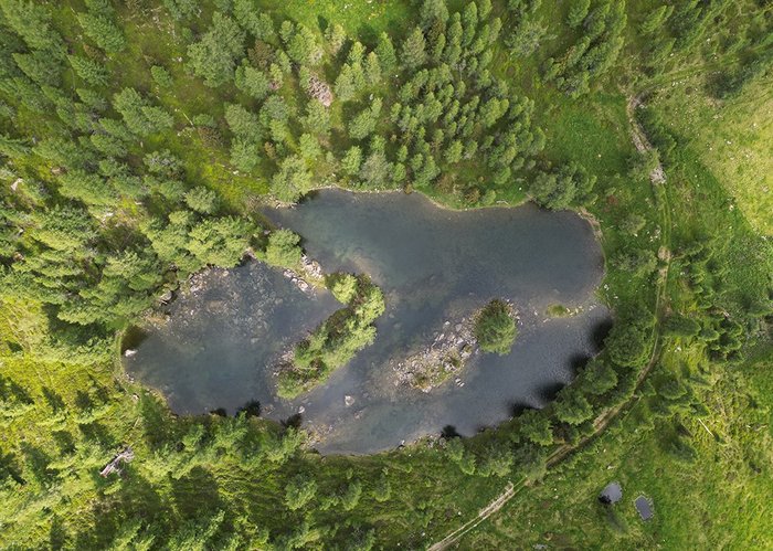 Ein kleiner, von Bäumen umgebener See mit zwei begrünten Inseln – aufgenommen aus der Luft.