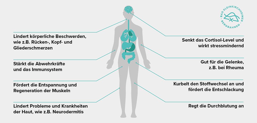 47+ Wirkung Von Apfelminze Stoffwechsel, Die heilkraft der minzen